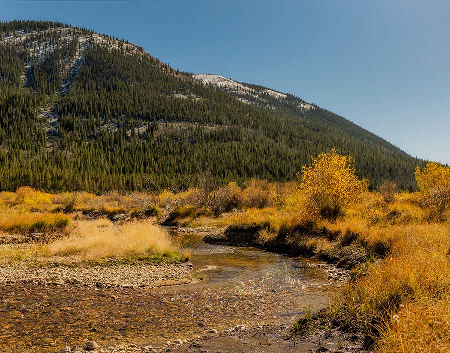 cabin mountain surroundings